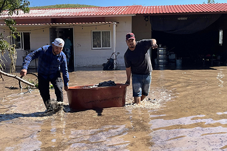 Más de 100 viviendas resultaron afectadas por la inundación en Colonia Juárez tras el desbordamiento del río Piedras Verdes. El alcalde Roberto Lucero informó que ya iniciaron los trabajos de limpieza con apoyo de autoridades estatales, federales y voluntarios de la comunidad.