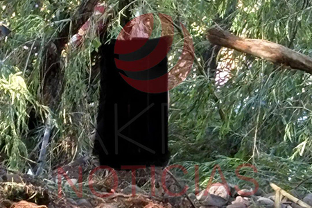 En Colonia Juárez, un hombre con capacidades diferentes perdió la vida tras ser arrastrado por la corriente en la inundación. El cuerpo fue localizado sin vida, atorado en un árbol, después de intensas labores de búsqueda por parte de rescatistas y protección civil.
