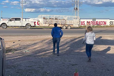 USDA-APHIS y Senasica iniciaron en Chihuahua la revisión anual del programa contra la tuberculosis bovina para mantener el estatus sanitario de Escasa Prevalencia.