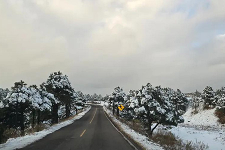 CEPC alerta por descenso de temperatura y vientos de 75 km/h en Chihuahua, especialmente en zonas serranas desde esta noche y madrugada del viernes.