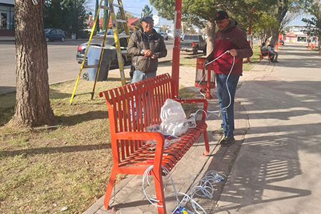 Nuevo Casas Grandes inició sus festividades con el concurso Encendamos los Sueños. Escuelas decoran árboles navideños y el gran encendido será el 1º de diciembre.