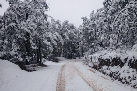 El SMN prevé hasta tres días de nieve y aguanieve en la Sierra Tarahumara debido al Frente Frío 15 y una vaguada polar. También se esperan temperaturas de hasta –10 °C y fuertes rachas de viento.