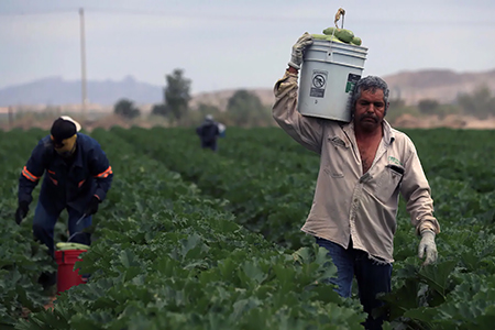 Claudia Sheinbaum aseguró que el acuerdo hídrico del Río Bravo con Estados Unidos no afectará a los agricultores del norte de México.