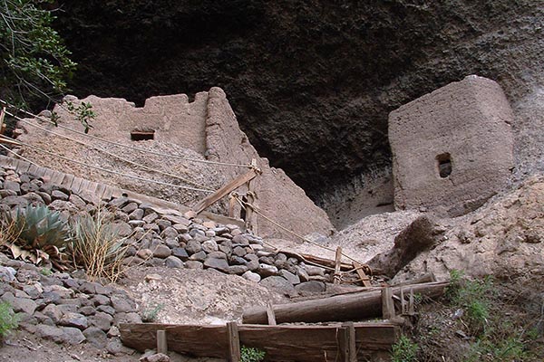 Las 40 Casas en Chihuahua son el tesoro mejor guardado de Madera. Aprende sobre su origen, los expertos que las estudiaron y prepárate para una caminata inolvidable.