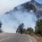 Los incendios forestales en Chihuahua afectan 7,460 hectáreas, según Conafor. Más de 950 combatientes y brigadistas trabajan para controlar los siniestros.