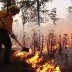 Brigadistas combatiendo un incendio forestal en Balleza, Chihuahua. El siniestro, que afectó más de 2,300 hectáreas, fue controlado después de días de trabajo. A pesar de este logro, 10 incendios más permanecen activos en el estado, afectando una superficie preliminar de 6,636 hectáreas.