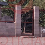 Adulto mayor de 70 años se suicida en el patio de su casa en la colonia Che Guevara, Nuevo Casas Grandes.