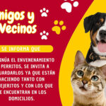 Nuevo Casas Grandes reporta más casos de envenenamiento de mascotas; se insta a la comunidad a resguardar y denunciar cualquier sospecha.