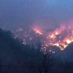 Incendios forestales afectan Guachochi y Guadalupe y Calvo. Un siniestro fue controlado, pero surgen nuevos incendios que impactan más de 40 hectáreas en Chihuahua. Conafor alerta sobre el riesgo.