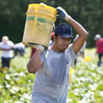 La SRE refuerza asistencia a mexicanos en Carolina del Norte tras la entrada en vigor de la ley HB10, que podría generar perfilamiento racial y discriminación.