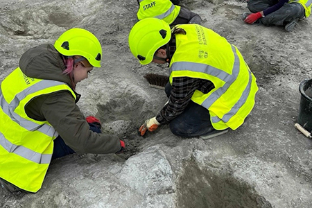 Un trabajador en una cantera de Inglaterra descubrió una “autopista de dinosaurios” con casi 200 huellas que datan de hace 166 millones de años. Este hallazgo ofrece nuevos insights sobre la vida de los dinosaurios y su entorno.