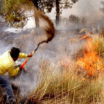 Dos incendios forestales en Chihuahua, ubicados en Guadalupe y Calvo y Guachochi, están próximos a ser extinguidos tras afectar 169 hectáreas.