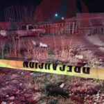 Un hombre de 60 años fue asesinado a golpes en la colonia Emiliano Zapata, Nuevo Casas Grandes. La Fiscalía investiga el homicidio de Carlos H. G., hallado con traumatismo craneoencefálico el 24 de febrero de 2025.