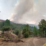 Chihuahua es el único estado con incendios forestales activos este miércoles, con 6 focos y 103 hectáreas afectadas, según Conafor.