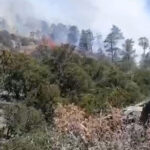 Chihuahua enfrenta 12 incendios forestales activos; el de Casas Grandes es el más extenso con 3,806 hectáreas afectadas y solo 40% de control
