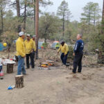 La CEPC de Chihuahua envió una brigada de combatientes forestales a la Cueva de la Olla en Casas Grandes para reforzar las labores contra el incendio. Autoridades trabajan en coordinación para proteger la zona.