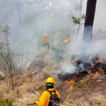 Chihuahua en emergencia: 6 incendios forestales activos han quemado 7,436 hectáreas. Solo 159 brigadistas trabajan en su control, con el siniestro más grave en Casas Grandes.