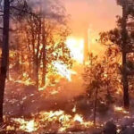 Un incendio forestal en Largo Maderal amenaza viviendas y familias piden ayuda urgente. Autoridades son llamadas a actuar de inmediato.