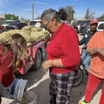 El municipio de Nuevo Casas Grandes reparte 30 toneladas de papa en centros comunitarios. Solo requieren CURP e INE para recibir el apoyo.