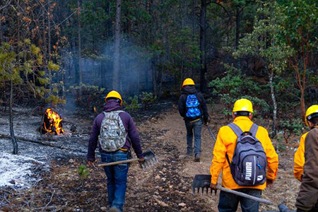 La SDR reportó tres incendios forestales activos en Chihuahua (Morelos, Balleza y Guachochi). Más de 25 brigadistas trabajan en su control con apoyo de CONAFOR.