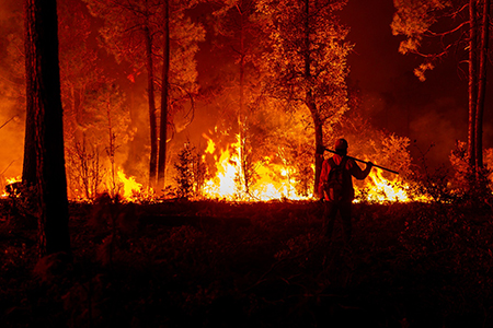 La Sierra Tarahumara arde con 21 incendios forestales activos en Chihuahua. Más de 550 brigadistas luchan contra las llamas.