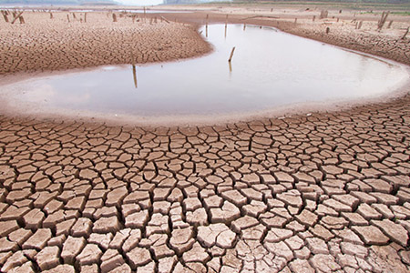 Chihuahua enfrenta sequía excepcional con 98% de su territorio afectado, justo cuando EU presiona por el pago de agua del Tratado de 1944.