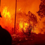 La SDR reporta 30 brigadistas combatiendo cuatro incendios forestales en Morelos, Guadalupe y Calvo, Balleza y Guachochi, en la sierra de Chihuahua.