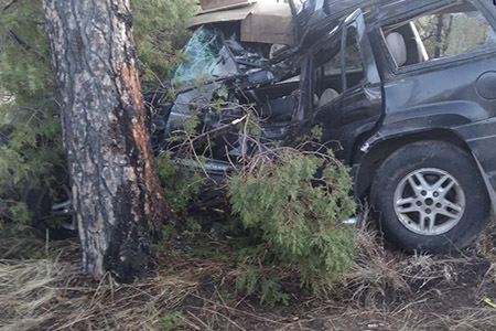 Un hombre de 54 años falleció tras impactar su Jeep Cherokee contra un árbol en Gómez Farías. El accidente ocurrió en la carretera a Madera y las autoridades investigan las causas.