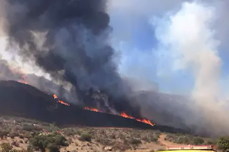 Más de 5,500 hectáreas han sido arrasadas por incendios forestales en Chihuahua, avivados por fuertes vientos. La Conafor reporta 18 focos activos en 8 municipios.