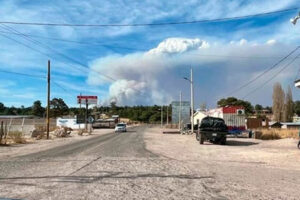 Un intenso incendio forestal avanza en Papigochi, Sierra Tarahumara. Conafor admite estar rebasada ante múltiples siniestros simultáneos en la región.