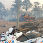 Noticias