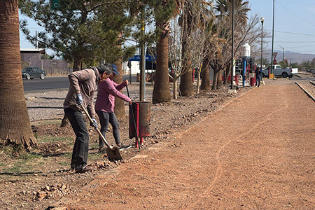 Un grupo de voluntarios participó en la limpieza del Caminador Sur de Nuevo Casas Grandes, con apoyo del Departamento de Servicios Públicos.