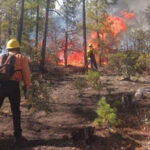 Chihuahua reporta 18 incendios forestales activos; la mitad comenzaron en 48 horas. Madera sufre el más devastador con 30,000 hectáreas quemadas.