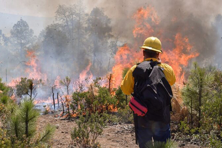 Chihuahua enfrenta 15 incendios forestales activos en municipios de la Sierra. Conafor reporta 23 mil 862 hectáreas afectadas y 293 combatientes desplegados. La situación se agrava con nuevos focos de calor