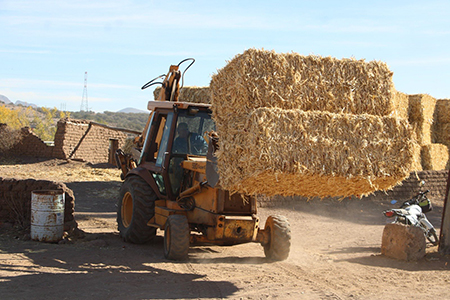 El Gobierno del Estado entrega fertilizantes subsidiados y equipo agrícola a productores como Manuel Jaramillo, quien reconoce el impacto de estos apoyos en su productividad.