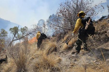Conafor reporta 16 incendios activos en Chihuahua, con un aumento en la superficie afectada a 77 mil hectáreas. Municipios como Guadalupe y Calvo y Urique son los más impactados.
