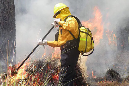 El brigadista Karel Navarro, fallecido en incendio en el ejido Las Playas, no era de Casas Grandes sino originario de Nicolás Bravo, Madera. Autoridades y comunidad lamentan su pérdida.