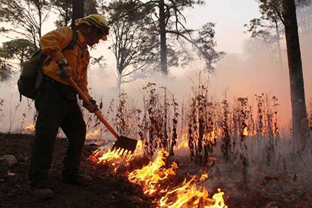 Chihuahua es ahora el estado con más superficie afectada por incendios forestales. Se reportan 13 siniestros activos y más de 28 mil hectáreas dañadas, con Madera como el más crítico.