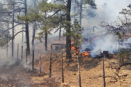 Conafor y SDR informan la liquidación de tres incendios en Morelos, Uruachi y Guachochi. Sin embargo, Chihuahua aún enfrenta 27 incendios activos que son combatidos por 568 brigadistas.