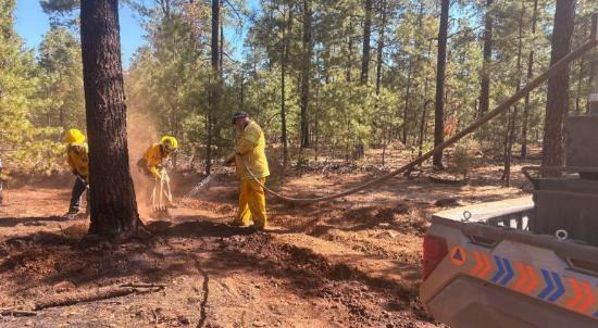 El estado de Chihuahua reporta 18 incendios forestales activos y una reducción significativa en áreas afectadas, con 415 brigadistas combatiendo el fuego en siete municipios.