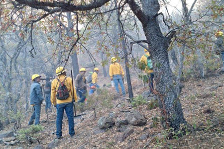 A pesar de liquidar el incendio en Guazapares, Chihuahua aún enfrenta 16 incendios forestales activos. Más de 400 combatientes trabajan en su control.