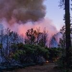 Avanza el combate a incendios forestales en Chihuahua: SDR reporta tres siniestros controlados y 27 activos. Más de 500 brigadistas operan en municipios de la zona serrana.