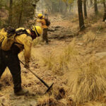 La Secretaría de Desarrollo Rural de Chihuahua apoyó con maquinaria y personal especializado en el combate del incendio forestal en el Ejido Zaragoza, municipio de Madera. Se abrieron brechas cortafuego.