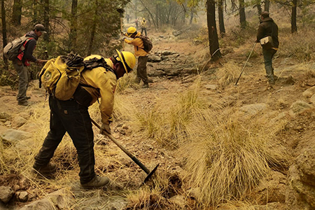La Secretaría de Desarrollo Rural de Chihuahua apoyó con maquinaria y personal especializado en el combate del incendio forestal en el Ejido Zaragoza, municipio de Madera. Se abrieron brechas cortafuego.