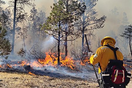 El brigadista Karel Jonathan Navarro Núñez murió combatiendo un incendio forestal en el ejido Las Playas, Casas Grandes. Fue líder de cuadrilla y reconocido por su valor y compromiso ambiental.