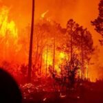 Incendio en Tutuaca, Moris, consume 10,753 hectáreas en área protegida. Especies en peligro y flora endémica están en riesgo. Autoridades reportan 90% de control y 80% de liquidación.