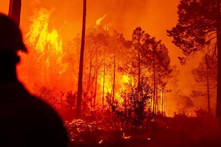 Incendio en Tutuaca, Moris, consume 10,753 hectáreas en área protegida. Especies en peligro y flora endémica están en riesgo. Autoridades reportan 90% de control y 80% de liquidación.