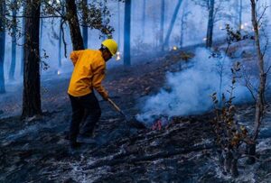 Chihuahua registra 12 incendios forestales activos en municipios como Madera, Moris y Urique. Más de 240 brigadistas de varios estados del país combaten el fuego. Piden a la población evitar riesgos.