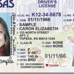 A partir del 7 de mayo, la Real ID será obligatoria para vuelos domésticos en EE.UU. Pasajeros sin ella deberán presentar identificación alternativa o enfrentar controles adicionales.