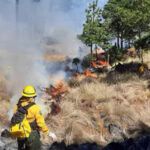 La Conafor reportó 14 incendios forestales activos en Chihuahua con más de 20 mil hectáreas afectadas. Brigadistas continúan combatiendo el fuego en municipios como Madera, Guachochi y Urique.